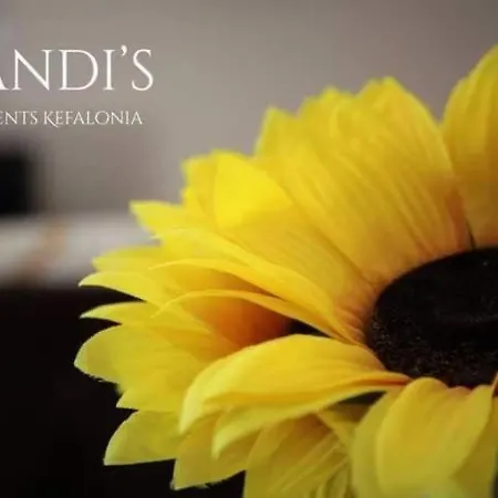 Mandis - Aggelos 1st Floor Karavados
